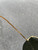 Used Gucci Sunglasses 60102-S000453375 View 6