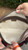 Used Gucci Small Leather Handbag 60102-S000453378 View 7