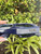 Used Dior Sunglasses 60067-S000812160 View 7
