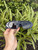 Used Dior Sunglasses 60067-S000812160 View 1