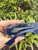 Used Dior Sunglasses 60067-S000812160 View 8