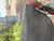Used Gucci Belt Bag 60067-S000812166 View 7