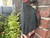 Used Gucci Belt Bag 60067-S000812166 View 6