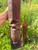 Used Alberto Fermani Tall Boots 5.5 60084-S000921848 View 5