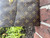 Used  Louis Vuitton Malesherbes Handbag 60067-S000812207 View 3