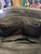 Used Coach Large Handbag 60112-S000440205 View 11