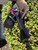 Used Prada Small Shoulder Bag 60067-S000812534 View 7