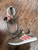 Used Adidas Performance Shoes 6.5 60043-S000947943 View 1