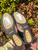 Used Coach Casual Shoes 8.5 60067-S000812755 View 8