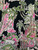 Used Lilly Pulitzer Long Dress F S-4/6 60047-S000623064 View 5