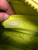 Used Ugg Australia Small Handbag 60049-S000824837 View 4