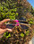 Used QUAY Sunglasses 60067-S000813175 View 2