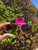 Used QUAY Sunglasses 60067-S000813175 View 1