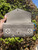 Used Louis Vuitton Wallet 60067-S000813357 View 3