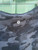 Used Lululemon Athletica Active Pant 6-28 60084-S000923687 View 3