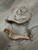 Used Unbranded Dress Sandals 8 60107-S000329333 View 4