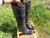 Used Frye Tall Boots 8 60084-S000924217 View 1