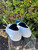Used Hermes Casual Shoes 8 60067-S000813802 View 5