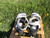 Used Doc Martens Flats 8 60084-S000924472 View 2