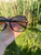 Used Gucci Sunglasses 60084-S000924597 View 4