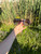 Used Gucci Sunglasses 60084-S000924597 View 3