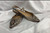 Used Madden Girl Flats 7.5 60003-S000929569 View 1
