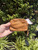 Used Wanderers Leather Wallet 60067-S000814683 View 3