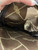Used Wrangler Small Handbag 60070-S000630102 View 15