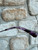 Used Armani Sunglasses 60067-S000815651 View 6