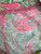 Used Lilly Pulitzer Short Dress B XXS 60099-S000370747 View 3