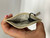 Used Marc Jacobs Wallet 60091-S000597689 View 3