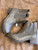 Used Maurices Ankle Boots 7 60043-S000951833 View 1