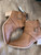 Used Maurices Ankle Boots 7.5 60043-S000951848 View 1