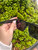 Used Diff Sunglasses 60067-S000816153 View 6