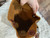 Used portland Large Leather Handbag 60126-S000450620 View 4