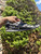 Used Coach Sneakers 8 60067-S000816683 View 2