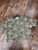Used printfresh Short Sleeve Top M-8/10 60043-S000952243 View 1