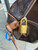 Used Louis Vuitton Speedy Handbag 60067-S000816992 View 6