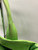 Used Marc Jacobs Large Handbag 60091-S000598510 View 8