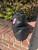 Used Dooney & Bourke Large Handbag 60067-S000817139 View 2