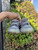 Used Yeezy Sneakers 5 60067-S000817244 View 4