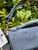 Used Coach Small Handbag 60085-S000367471 View 2