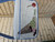 Used Staud Small Handbag 60085-S000367472 View 3