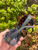 Used Gucci Sunglasses 60067-S000817361 View 3