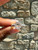 Used Lagos Ring 7 60067-S000817482 View 1