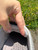 Used Dansko Performance Shoes 8.5 60084-S000928056 View 7