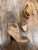Used Lucky Brand Ankle Boots 9.5 60043-S000953384 View 2