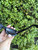 Used Chanel sunglasses 60067-S000817673 View 4
