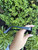 Used Chanel sunglasses 60067-S000817673 View 8