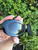 Used Chanel sunglasses 60067-S000817673 View 6